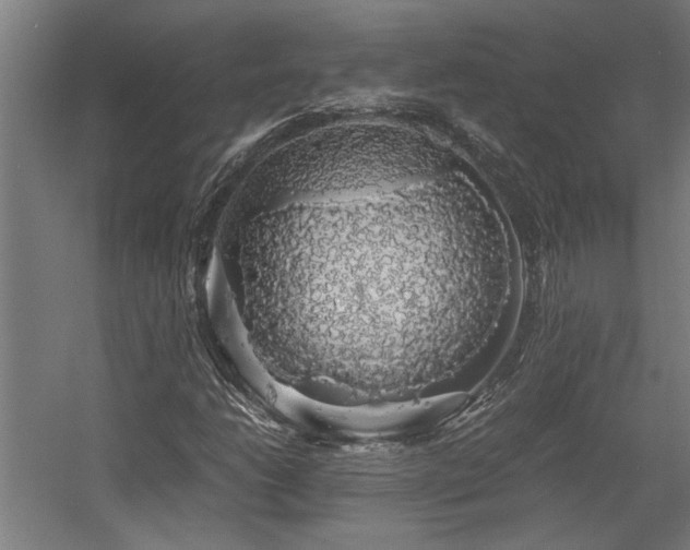 X0000058781206200509301106
