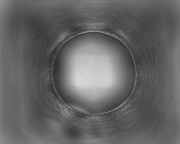 X0000058781211200509301106