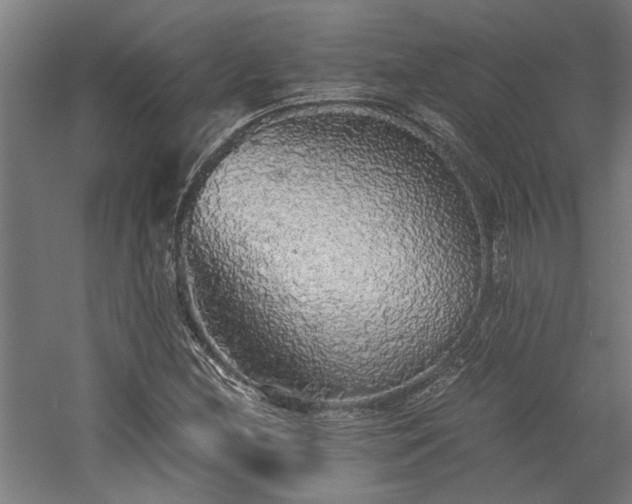X0000058781212200509301106