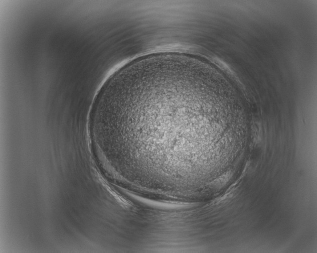 X0000058781230200509301106
