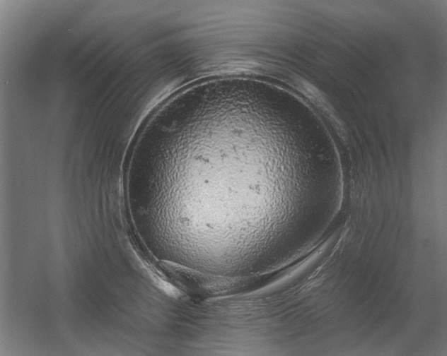 X0000058781234200509301106