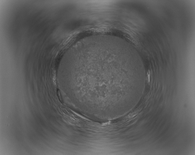 X0000058781251200509301106