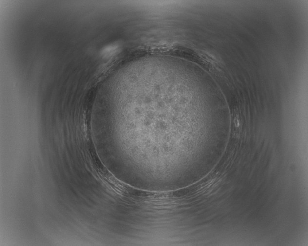 X0000058781252200509301106