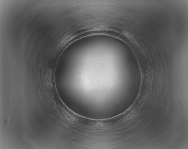 X0000058781265200509301105