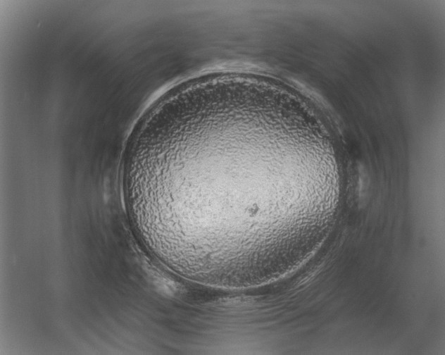 X0000058781272200509301105
