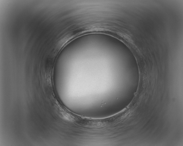 X0000058781273200509301105