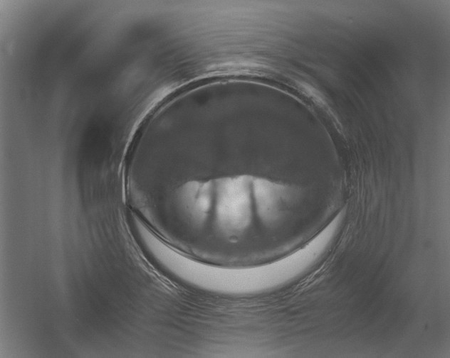 X0000058781275200509301105