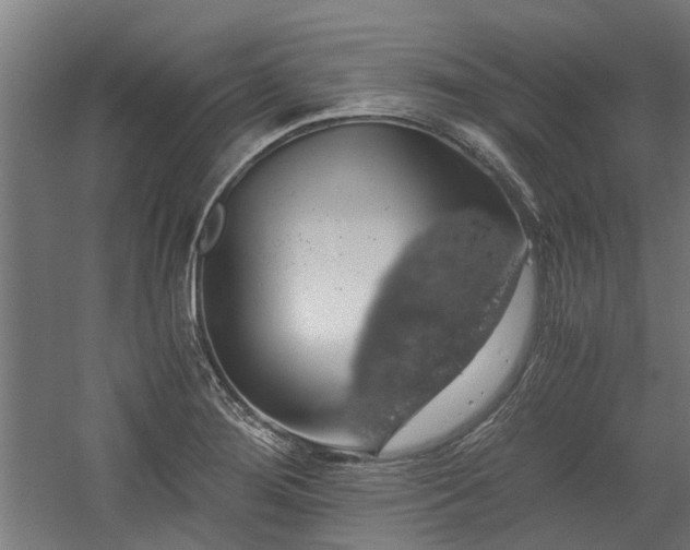 X0000058781276200509301105