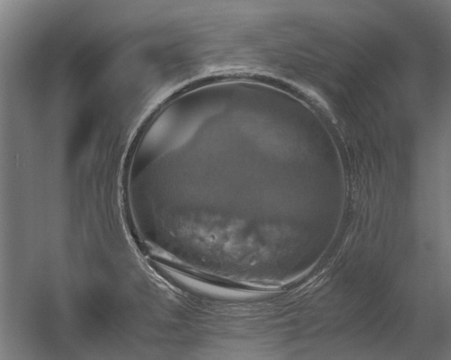 X0000058781279200509301105