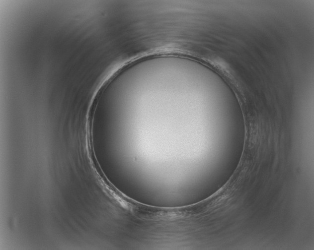 X0000058781286200509301105
