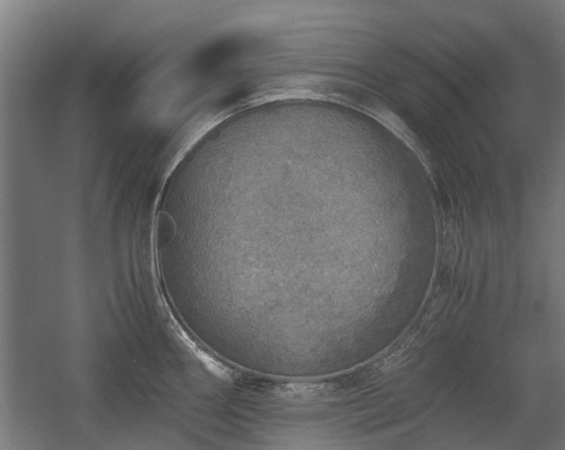 X0000058781290200509301105
