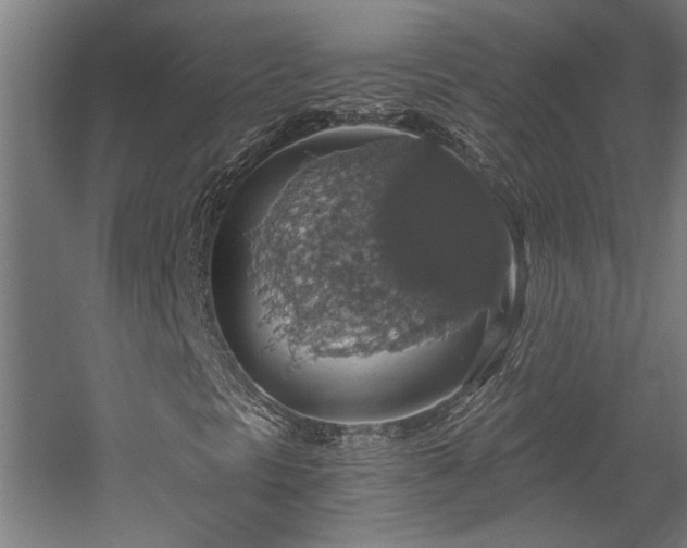 X0000058781297200509301104