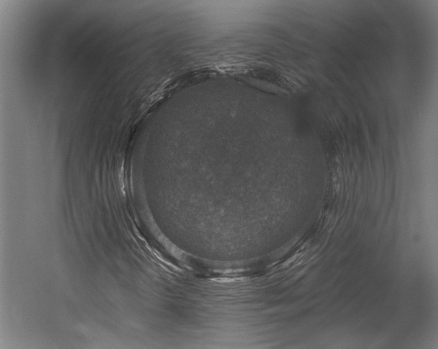 X0000058781298200509301104