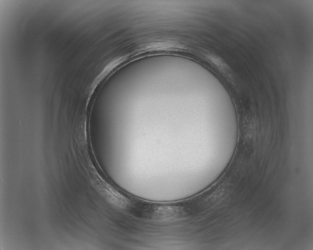 X0000058781322200509301104