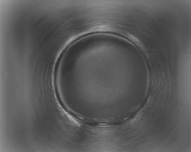 X0000058781334200509301105
