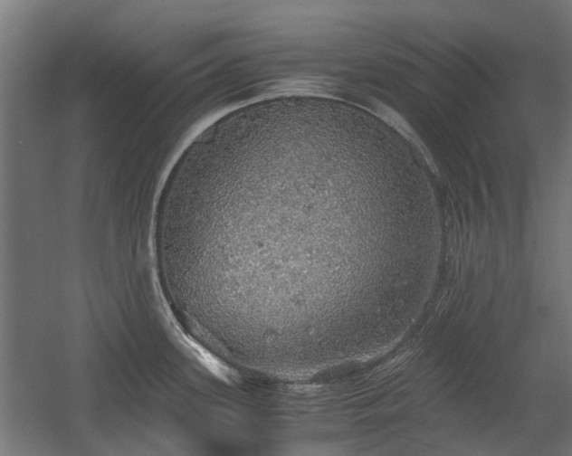 X0000058781339200509301105