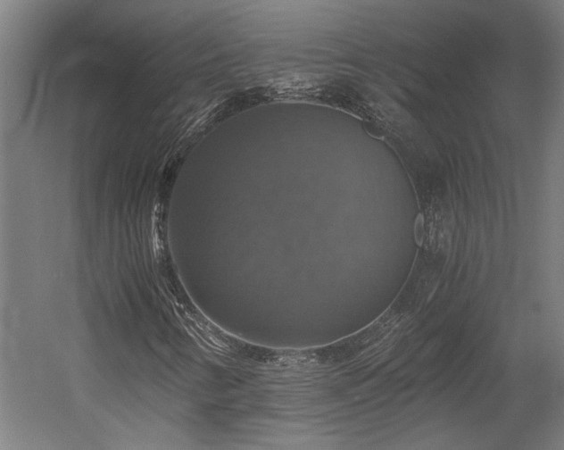 X0000058781346200509301104