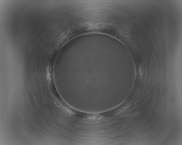 X0000058781348200509301104
