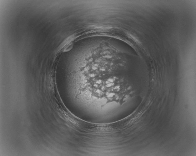 X0000058781354200509301104