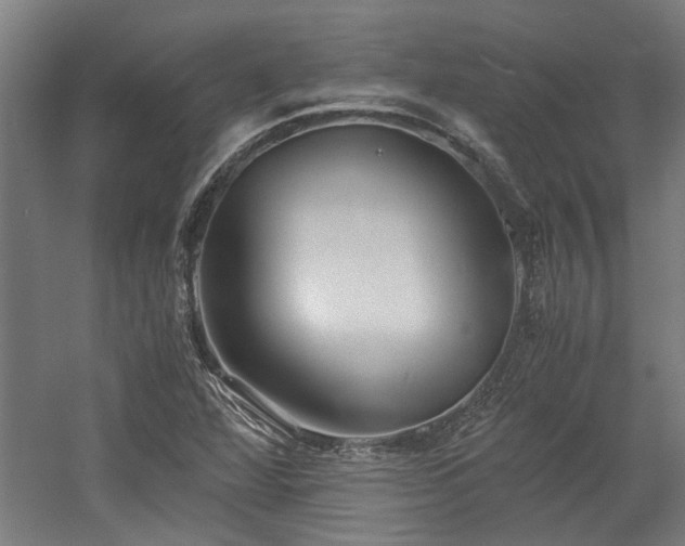 X0000058781360200509301104