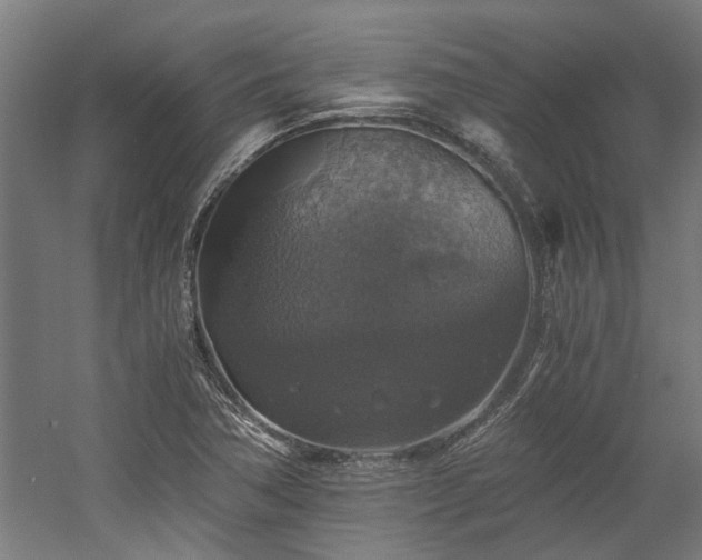 X0000058781362200509301104
