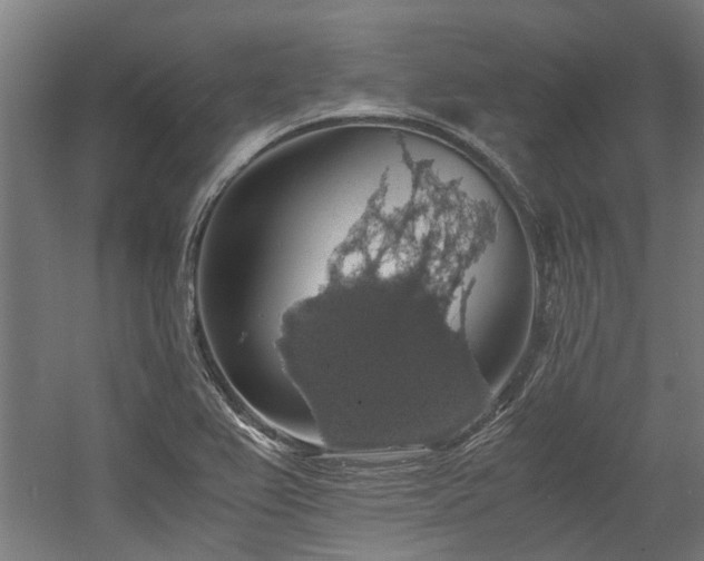 X0000058781367200509301104
