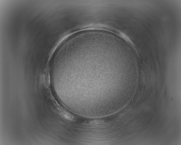 X0000058781368200509301104