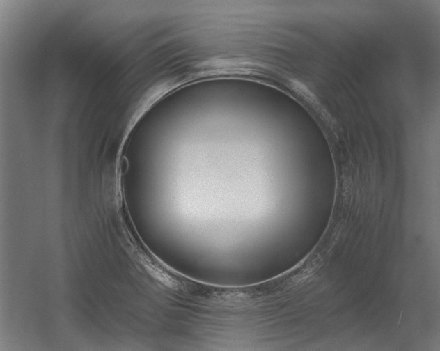 X0000058781370200509301103