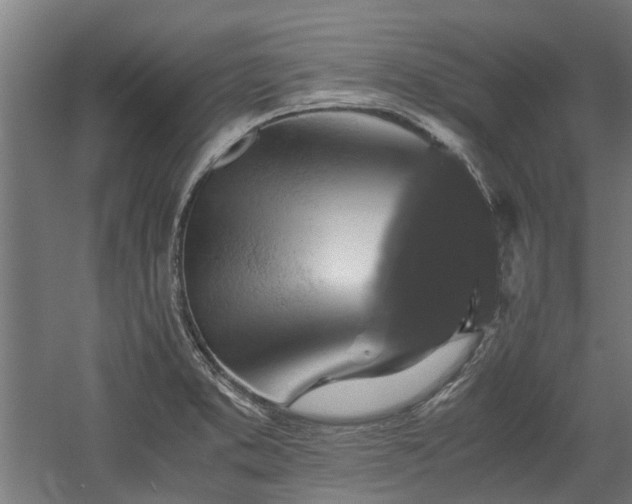 X0000058781373200509301103