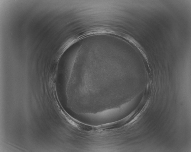 X0000058781385200509301103