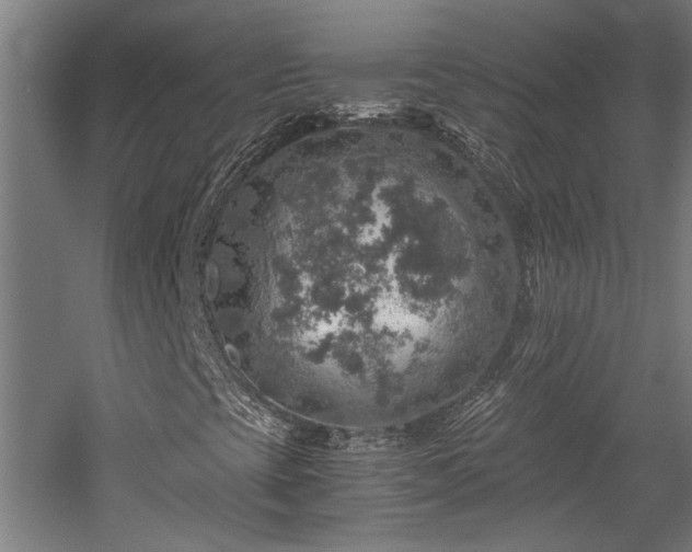 X0000058781393200509301102