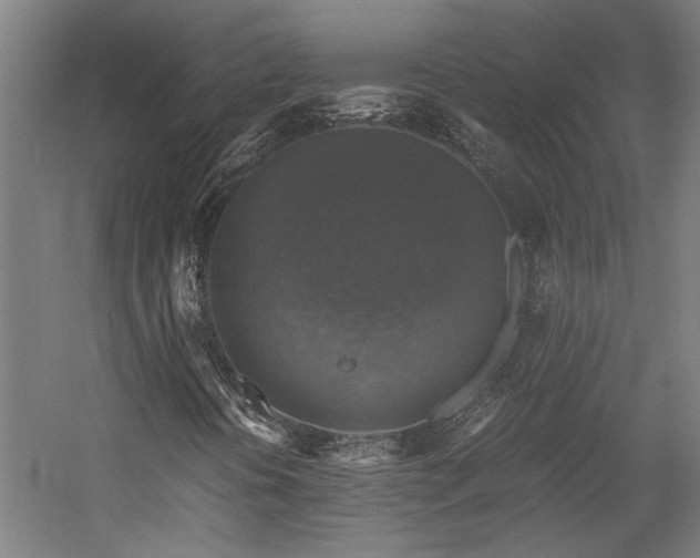 X0000058781394200509301102