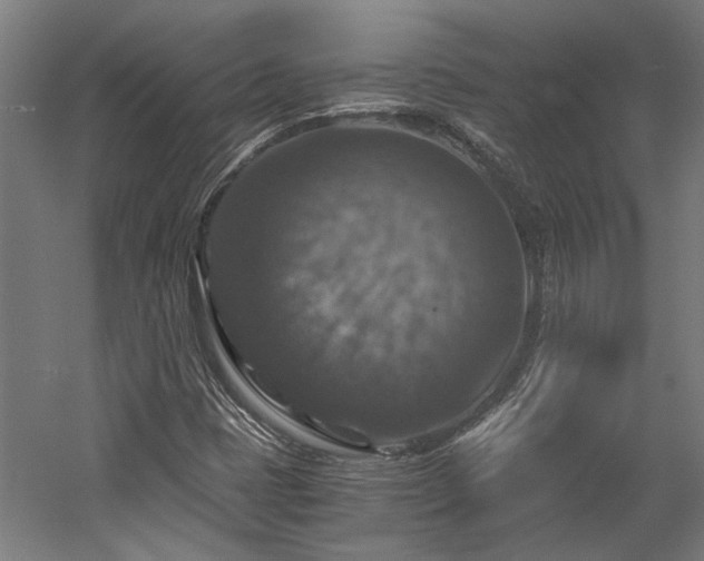 X0000058781401200509301102