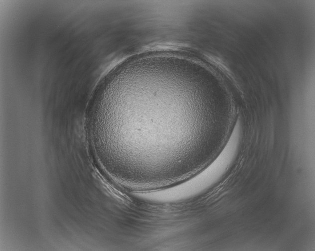 X0000058781404200509301102