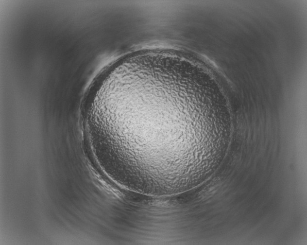 X0000058781408200509301103