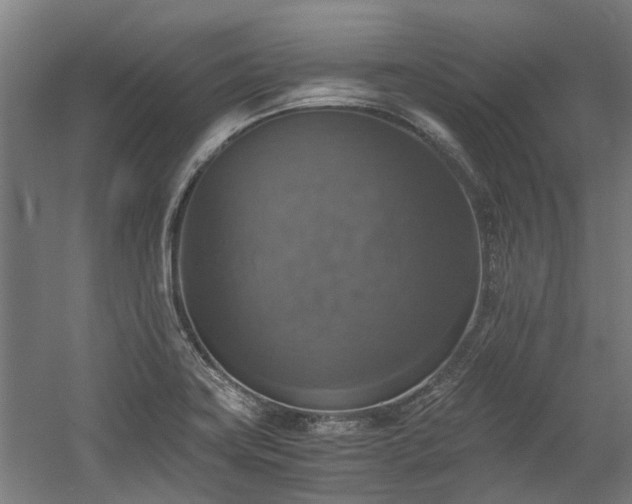 X0000058781419200509301103