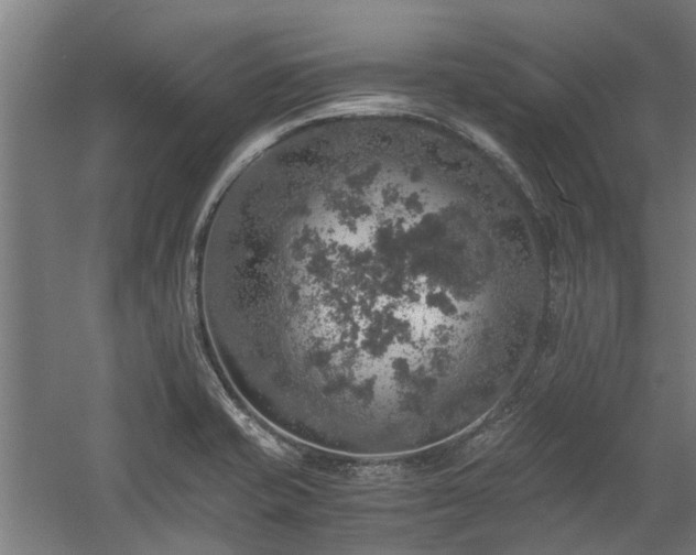 X0000058781421200509301103