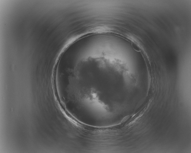 X0000058781429200509301103