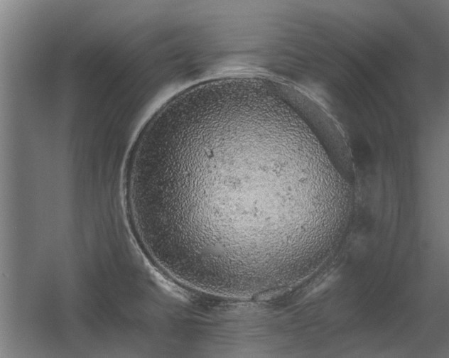 X0000058781430200509301103