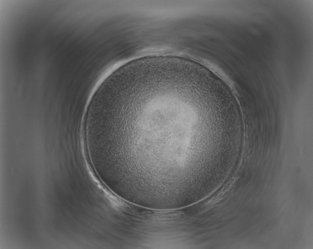 X0000058781440200509301103