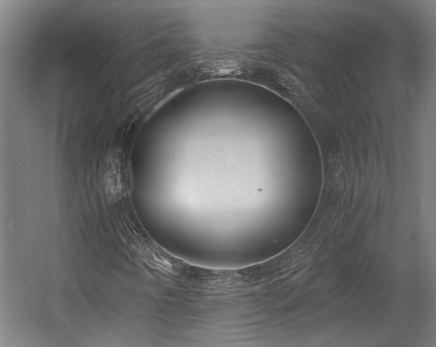 X0000058781442200509301102