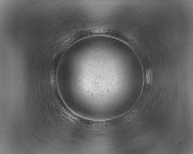 X0000058781444200509301102