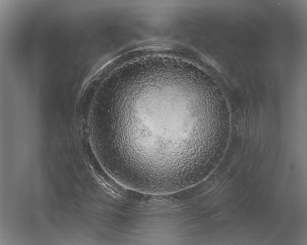 X0000058781448200509301102