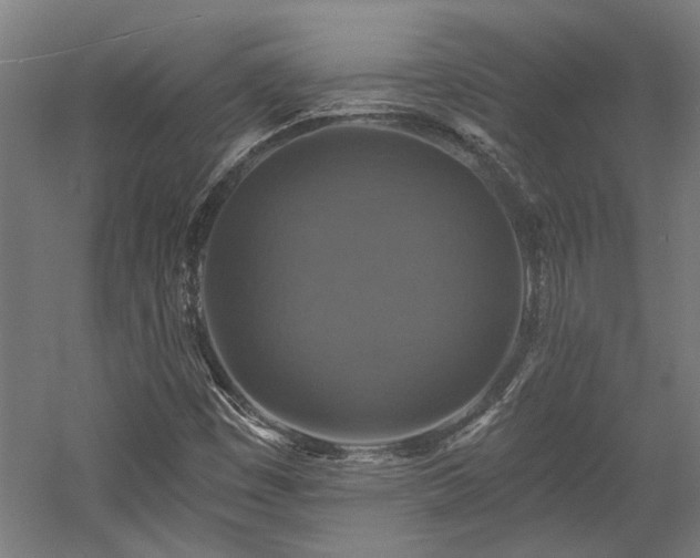 X0000058781449200509301102