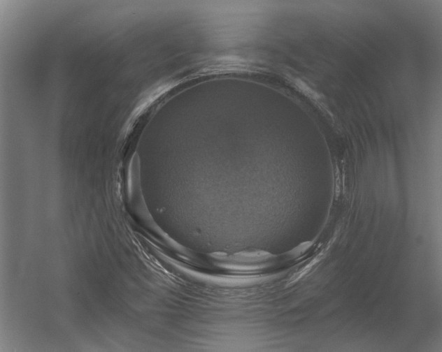 X0000058781453200509301102