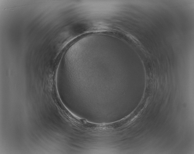 X0000058781457200509301102