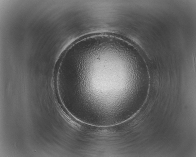 X0000058781460200509301102