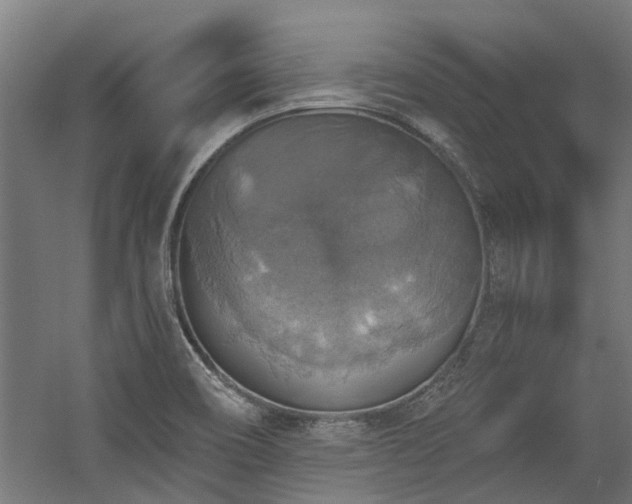 X0000058781466200509301102