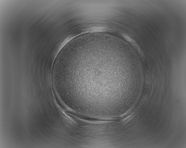X0000058781473200509301102