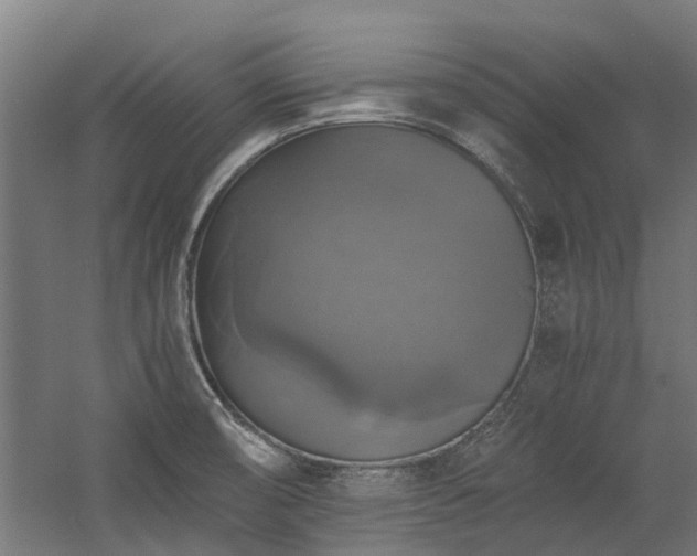 X0000058781474200509301102